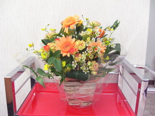 CIMG0437.JPG